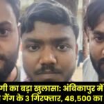 Major Cyber ​​Fraud Exposed