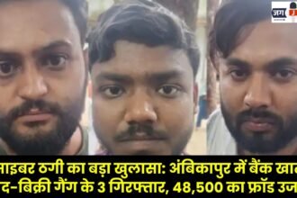 Major Cyber ​​Fraud Exposed