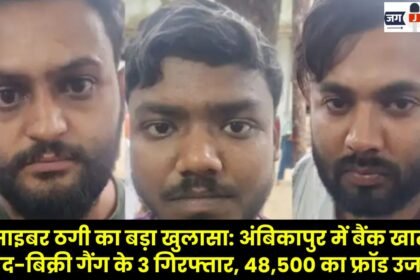 Major Cyber ​​Fraud Exposed