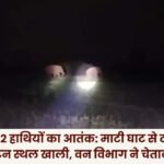 Reign of Terror by 12 Elephants in Mainpat