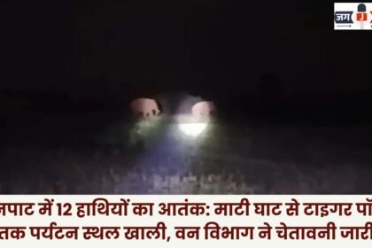 Reign of Terror by 12 Elephants in Mainpat