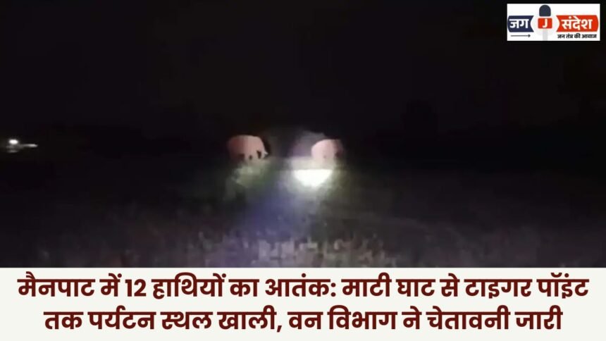 Reign of Terror by 12 Elephants in Mainpat