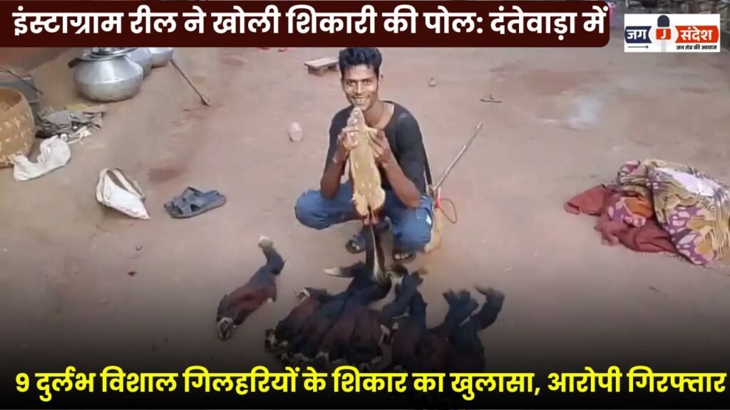 Hunting of 9 Rare Giant Squirrels Revealed in Dantewada