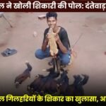 Hunting of 9 Rare Giant Squirrels Revealed in Dantewada