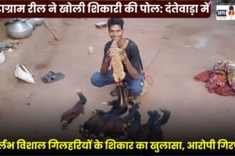 Hunting of 9 Rare Giant Squirrels Revealed in Dantewada