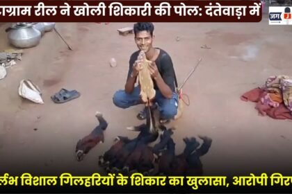 Hunting of 9 Rare Giant Squirrels Revealed in Dantewada