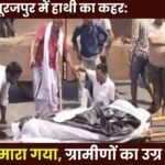 Elephant Rampage in Surajpur