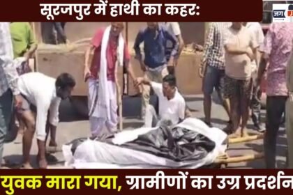 Elephant Rampage in Surajpur