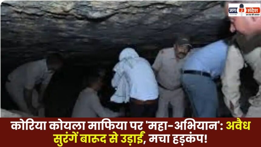 Mega-Operation Against Koreas Coal Mafia