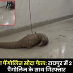 ₹50 Crore Pangolin Deal Foiled