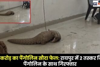 ₹50 Crore Pangolin Deal Foiled