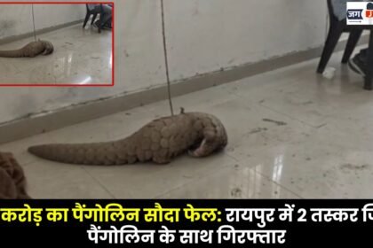 ₹50 Crore Pangolin Deal Foiled