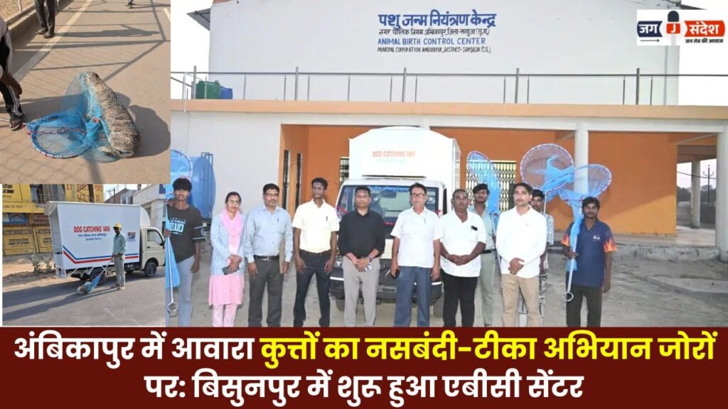 Stray Dog Sterilization and Vaccination Drive in Full Swing in Ambikapur