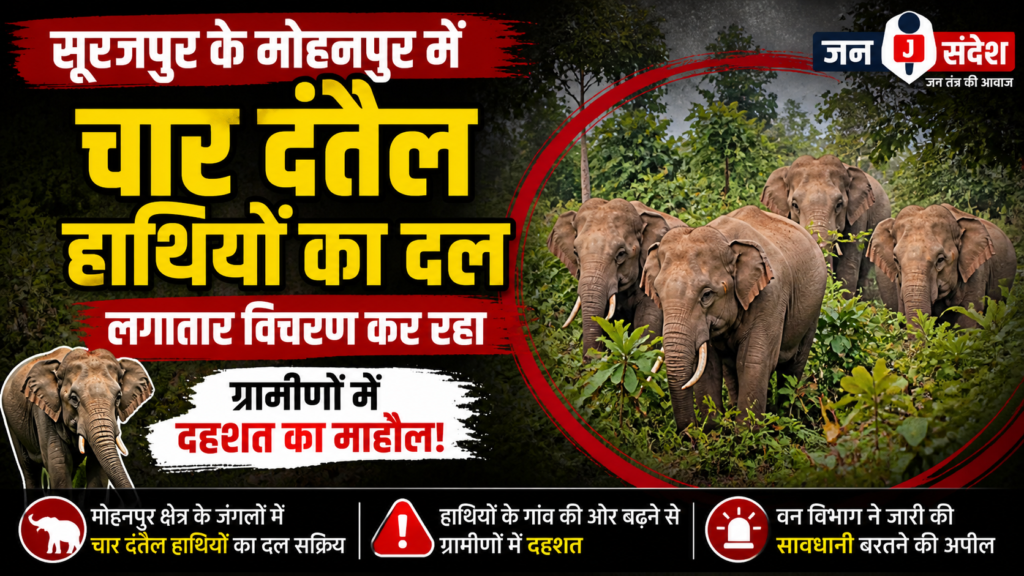 Surajpur: Herd of Four Tuskers Roams Through Rural Areas