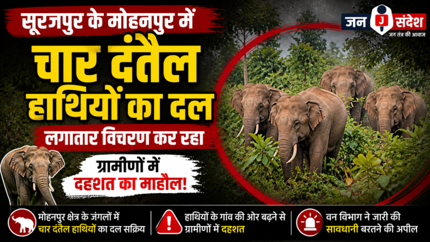Surajpur: Herd of Four Tuskers Roams Through Rural Areas