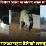 Elephant Menace in Mainpat