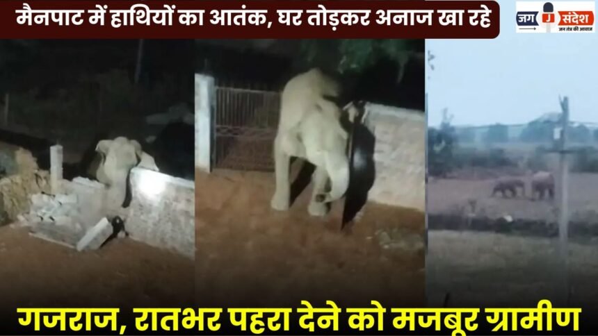 Elephant Menace in Mainpat