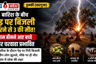 Dumki (Surguja): 3 killed after lightning strikes a tree amidst rain