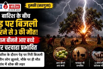 Dumki (Surguja): 3 killed after lightning strikes a tree amidst rain