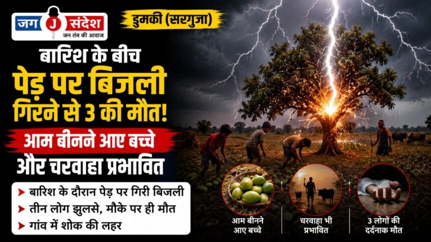 Dumki (Surguja): 3 killed after lightning strikes a tree amidst rain