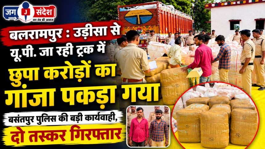 Balrampur: Cannabis worth crores seized from a truck bound for UP from Odisha
