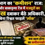 The Forest Departments Commission Raj