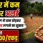 Agriculture Department advises planting groundnut and urad instead of paddy in Jashpur