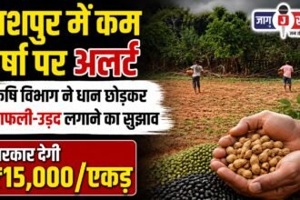 Agriculture Department advises planting groundnut and urad instead of paddy in Jashpur