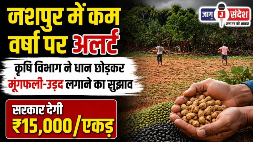 Agriculture Department advises planting groundnut and urad instead of paddy in Jashpur
